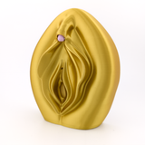 Vulva-Klitoris Modell 2.0