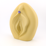 Vulva-Klitoris Modell 2.0