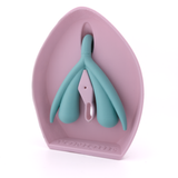 Vulva-Klitoris Modell 2.0