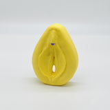 Vulva-Clitoris Model