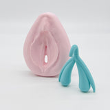Vulva Klitoris Modell, Aufklärung, Empowerment, Feminismus, Sexualpädagogik, Geschenk, Rosa, Türkis, Original, Erziehung